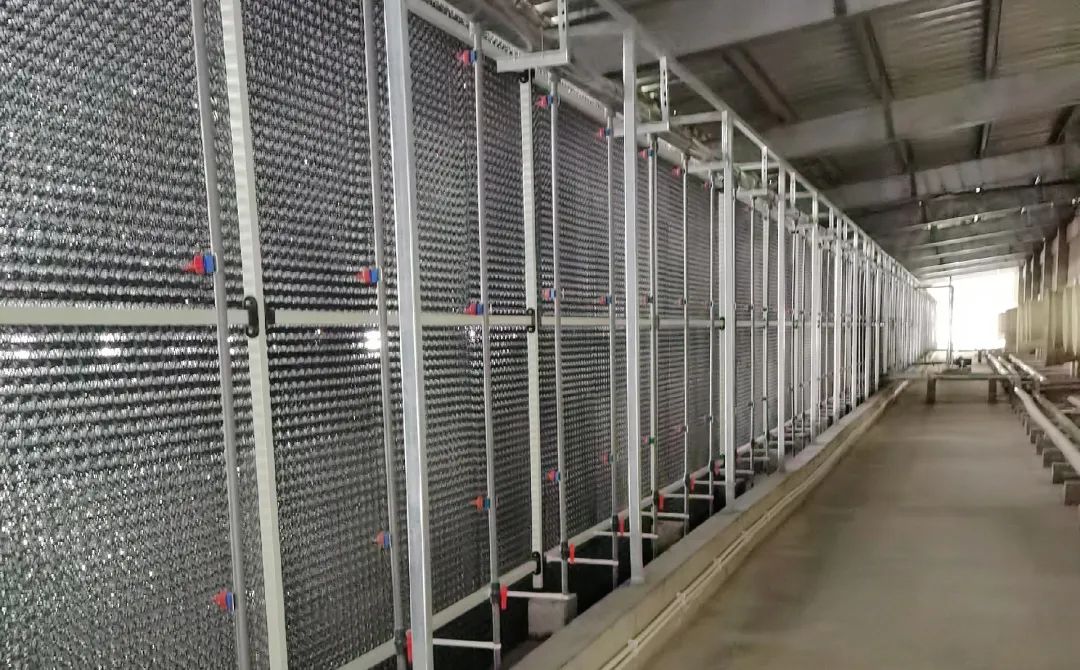 20240517125206121.jpg 20240517125206121.jpg